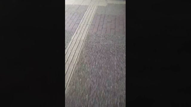 tokyo1130021kaz  21-12-2022